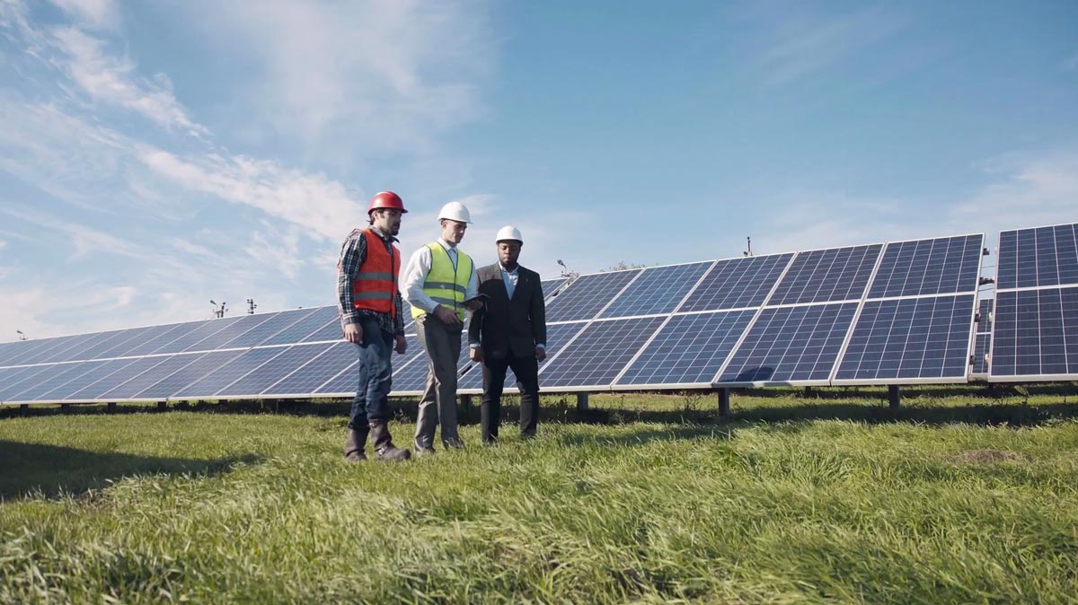 Granja solar paneles energía