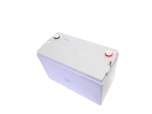 Batería ciclo profundo sellada 115Ah 12v